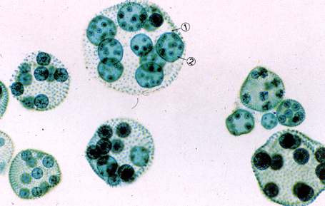 产品展示_芜湖嘉联科教仪器有限公司